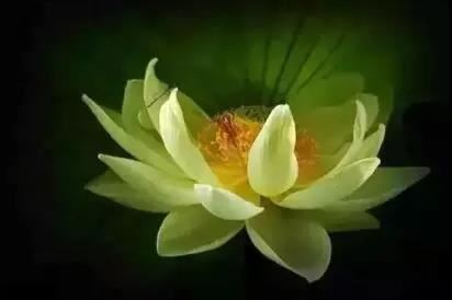 修道为什么要积德？