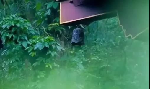 九零年属马的人是什么命运