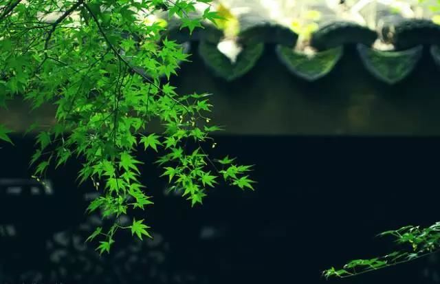 这些七分做事三分做人的名句，你一定要谨记！