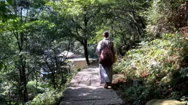 玛法达最新星座运势网组图新浪