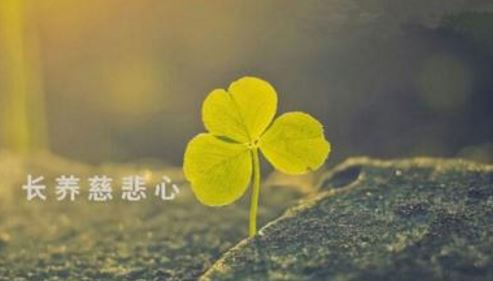 学会这四种人际关系的技巧 不再惧怕任何场合