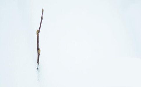 分手后怎么挽回前任?挽回前任的方法